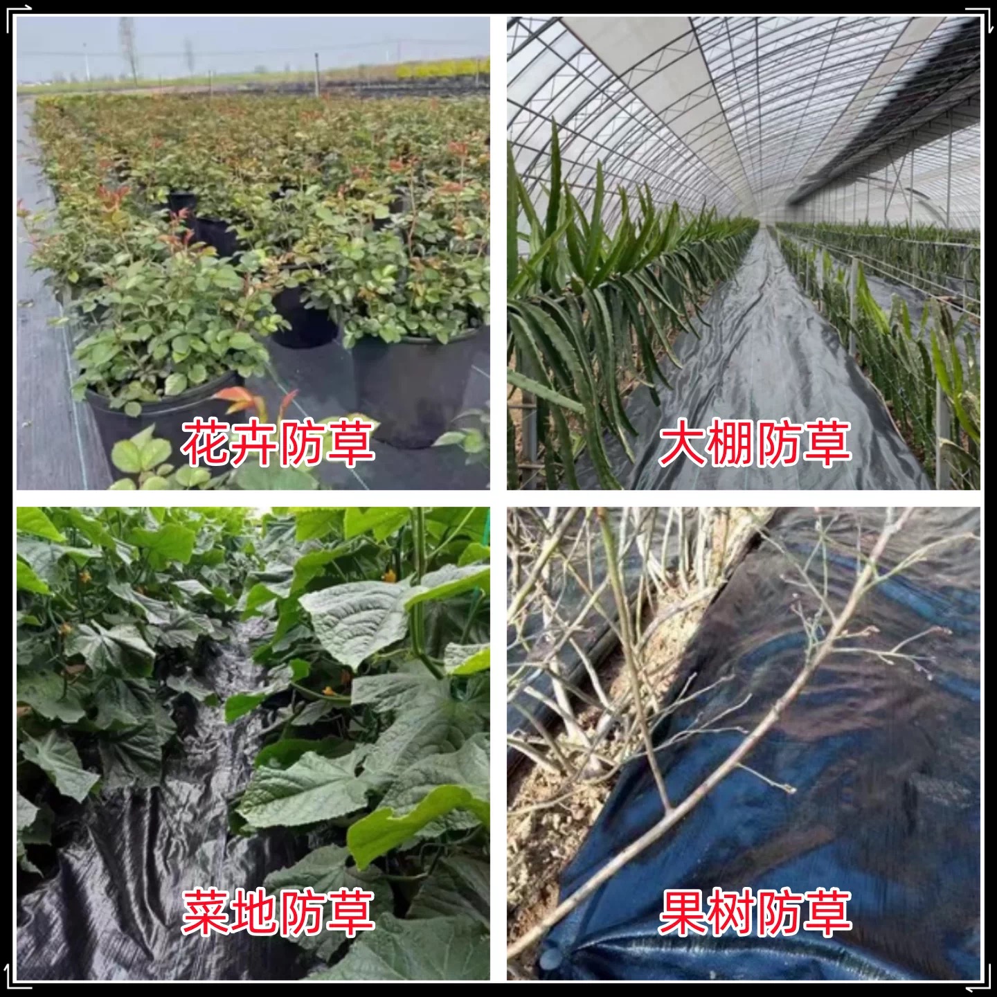 益广塑业有限公司（北海市办事处）